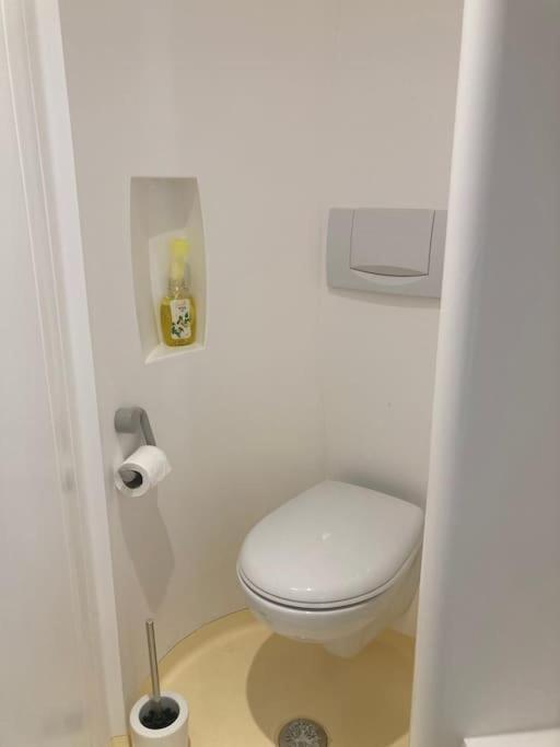 Charmant Studio Terrasse 25Min Aeroport Cdg Saint Brice sous Foret Bagian luar foto